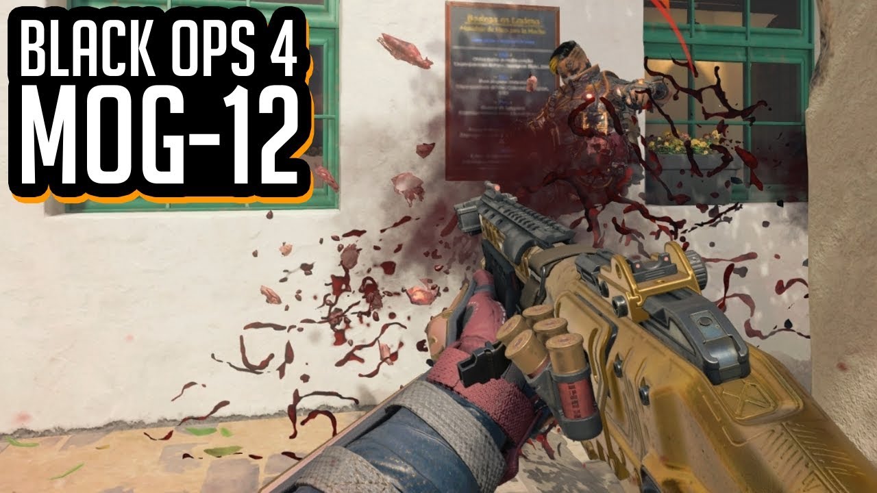 OMLOPEN MET DE MOG-12 SHOTGUN! (COD: Black Ops 4)