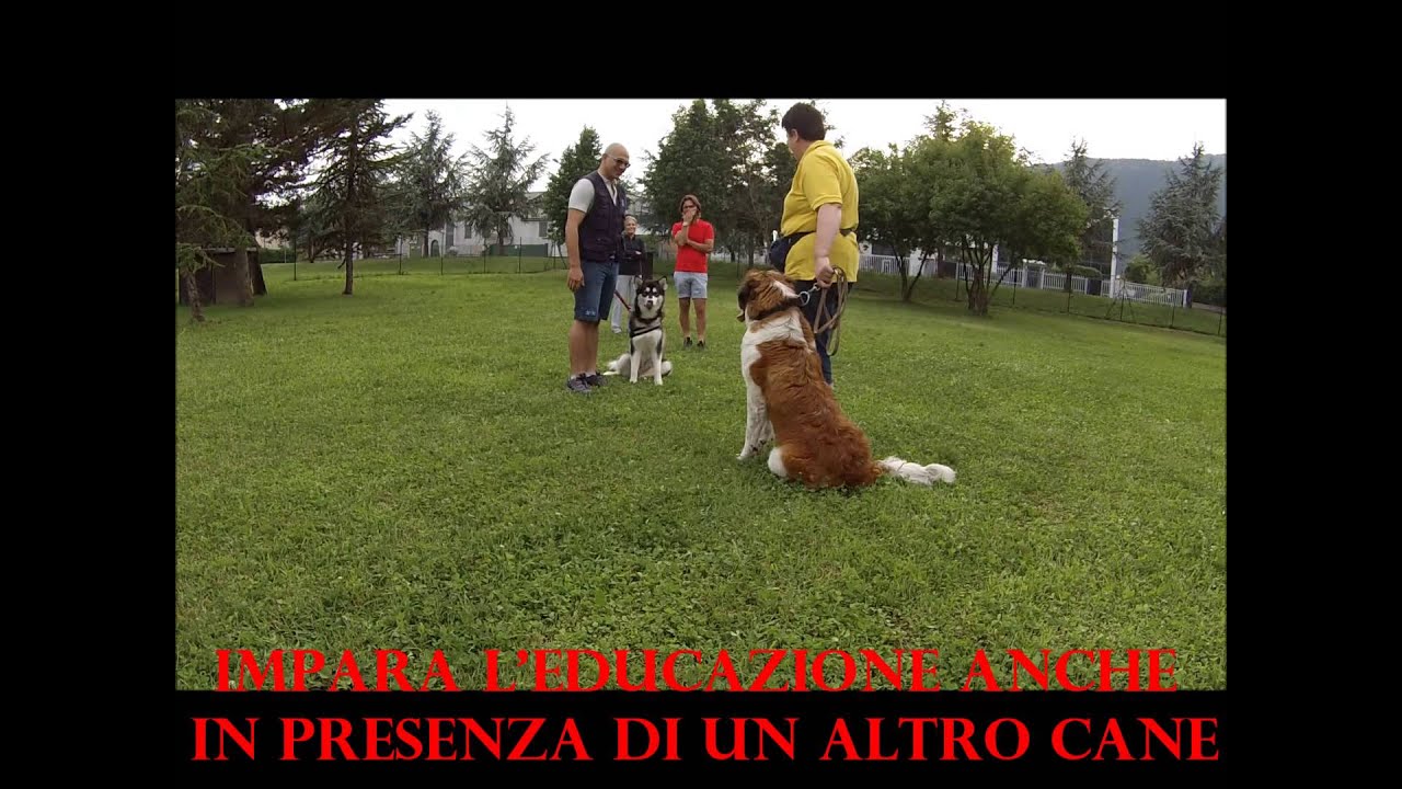 Cosa possiamo offrirti - UCVPC LUPI BRESCIA DELLA VALVERDE