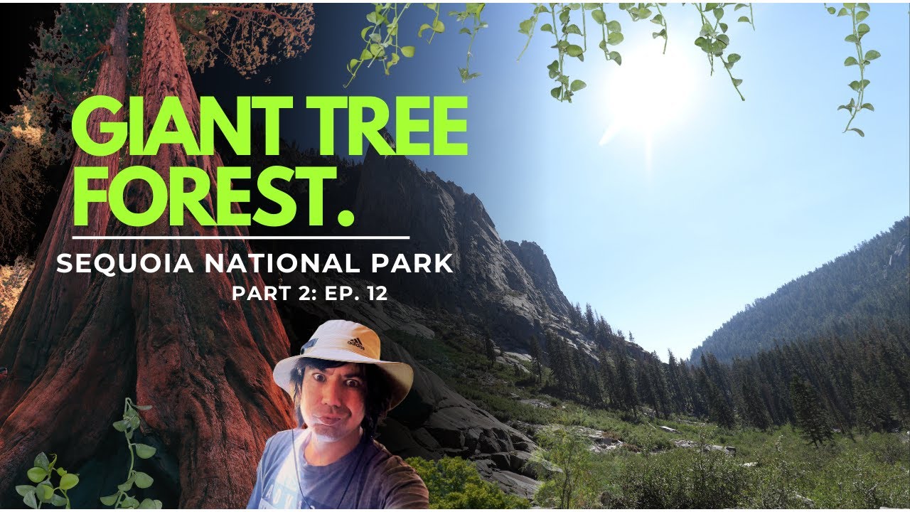 Sequoia National Park part. 2: exploring giant trees and waterfalls. Join me! 