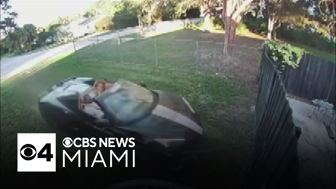 Palmetto Bay family calls for action after Corvette crashes into home