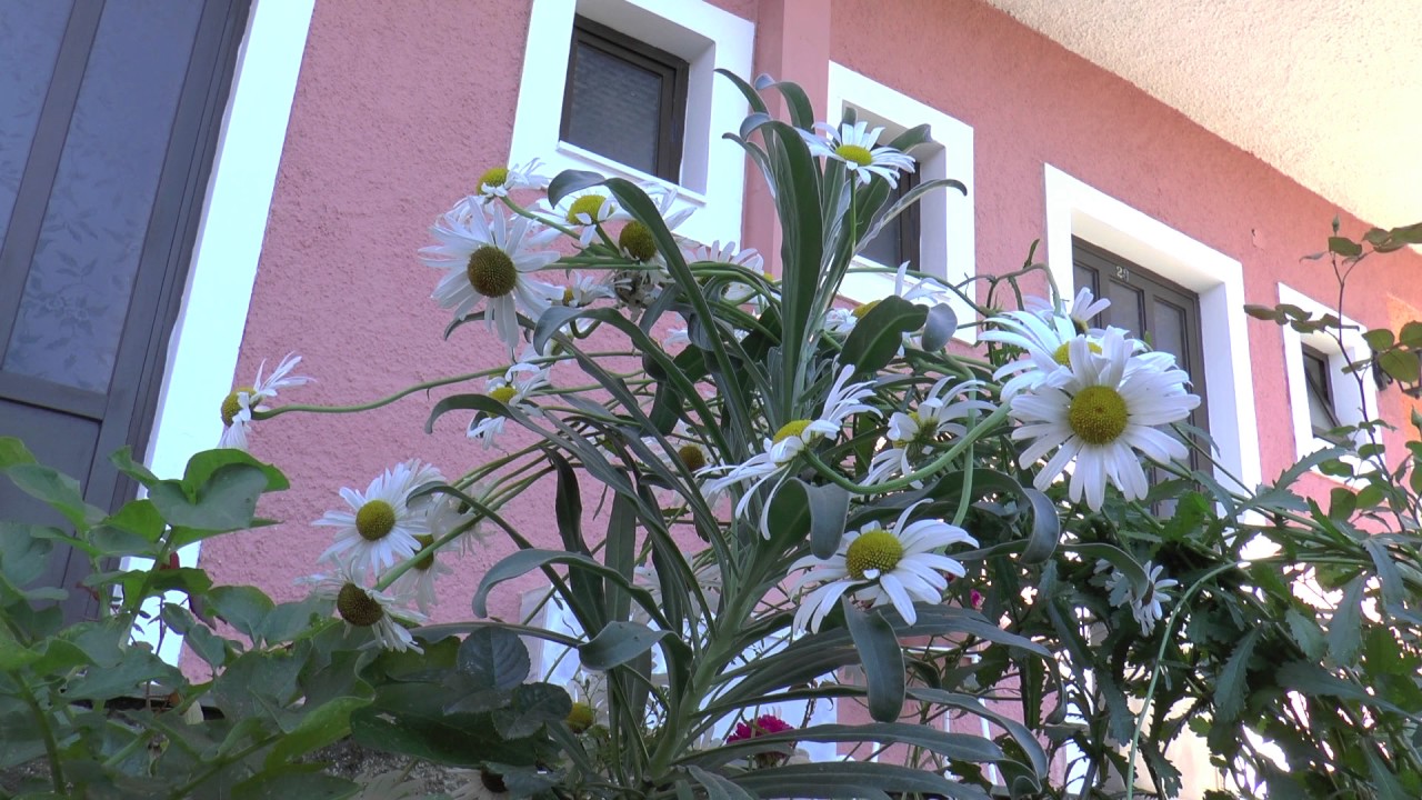 Lina Apartmanház