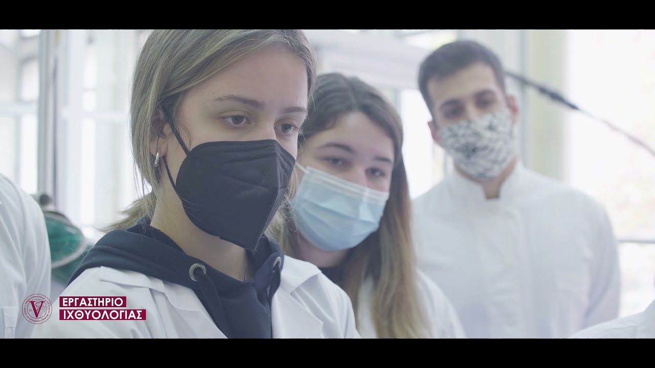 Τμήμα Κτηνιατρικής Αριστοτέλειο Πανεπιστήμιο Θεσσαλονίκης