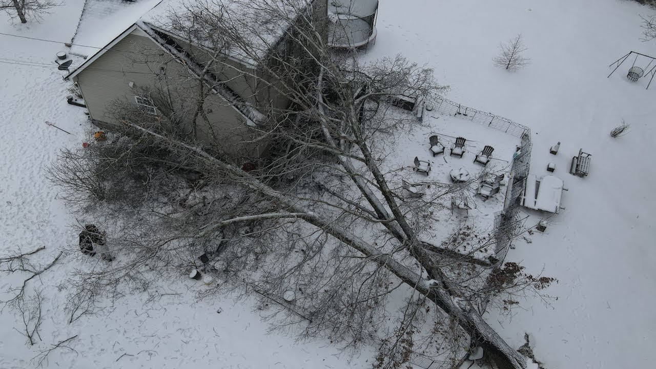 Dangerous Tree Fell on the House!