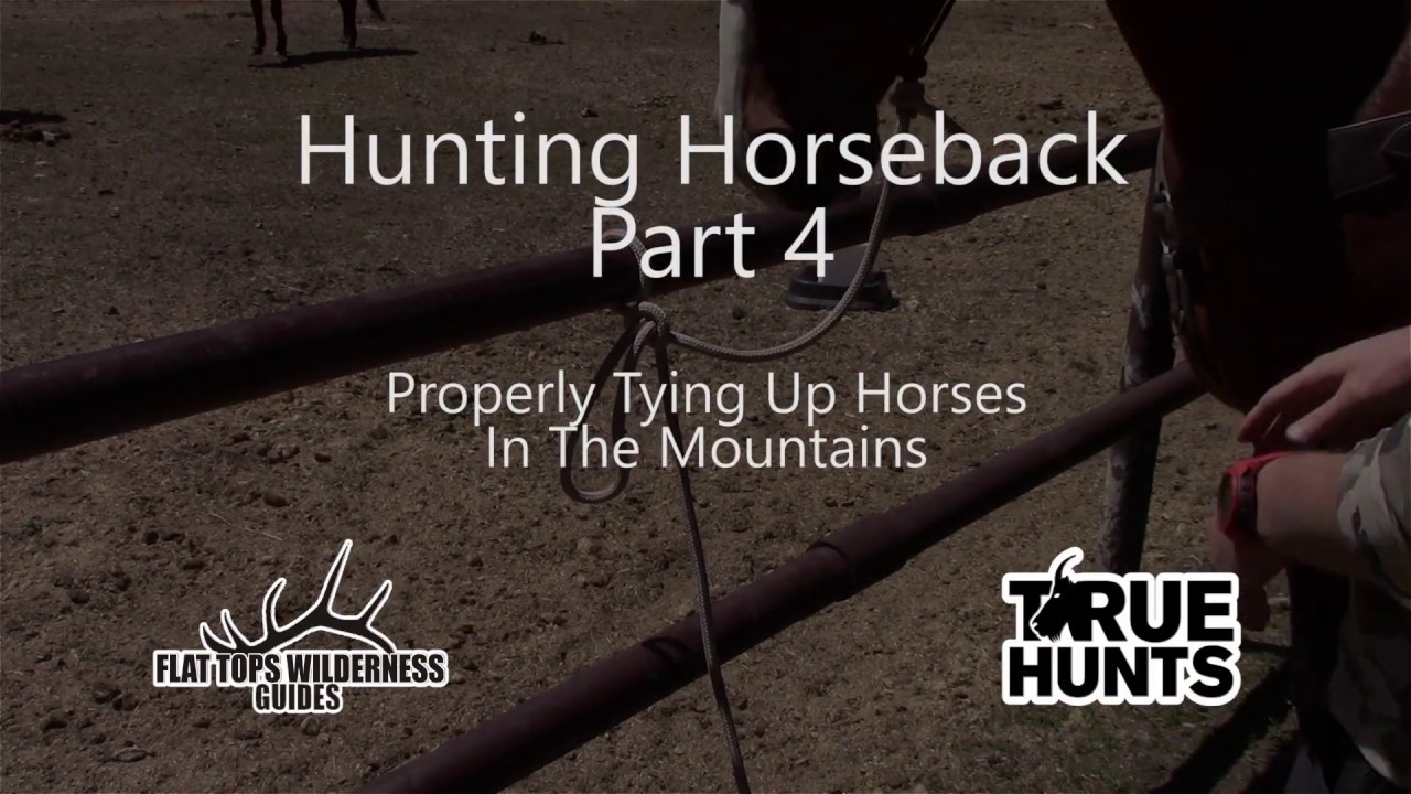 Part 4 - Hunting Horseback - Properly Tying Up Horses In The Mountains