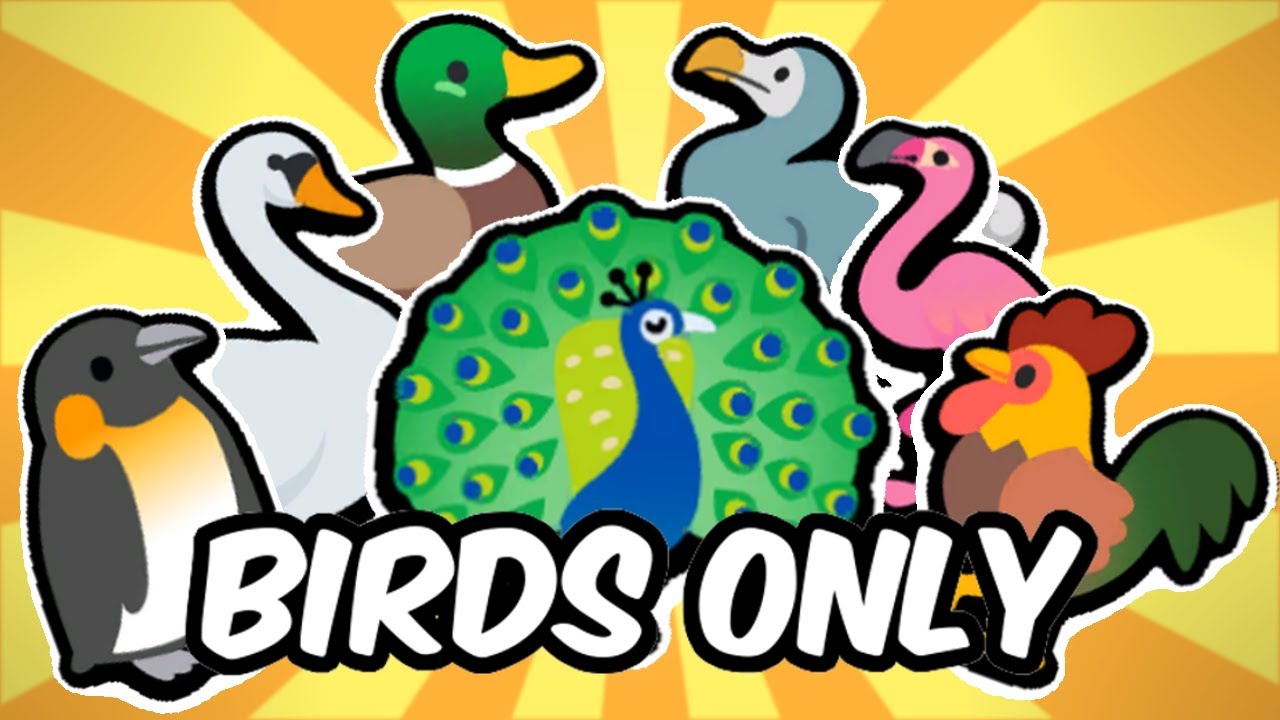 Beating Super Auto Pets using ONLY BIRDS!