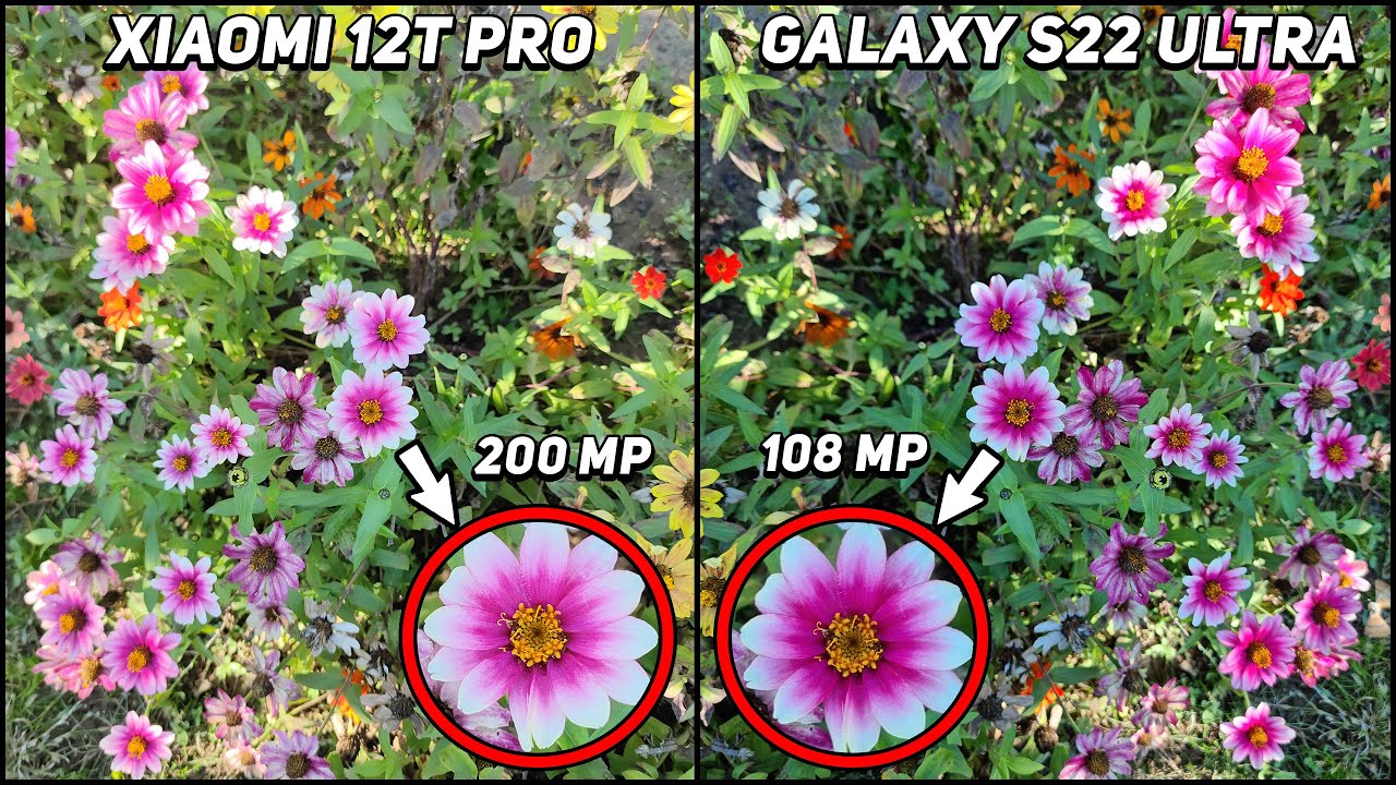 Xiaomi 12T Pro vs Samsung Galaxy S22 Ultra Camera Test