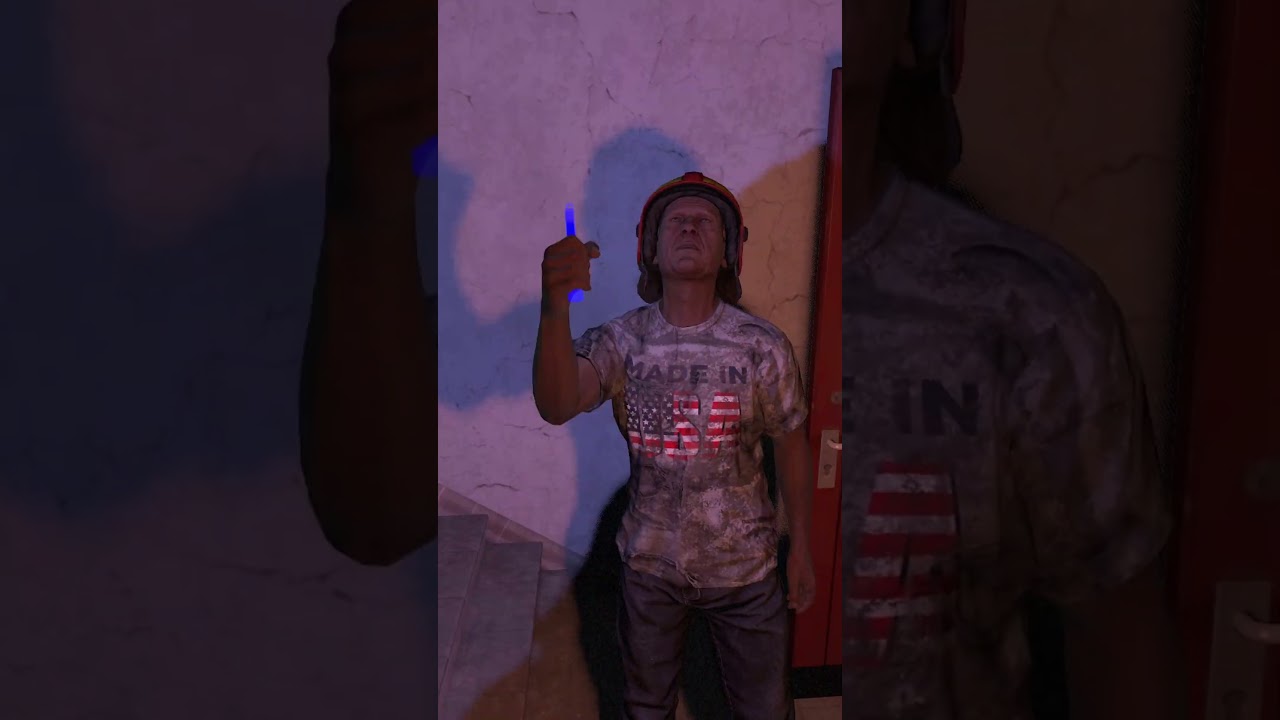 Singing with a random survivor in DayZ