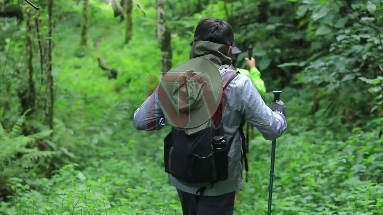 Uganda’s tourism sector faces seasonal revenue risks despite supporting 30,000 jobs