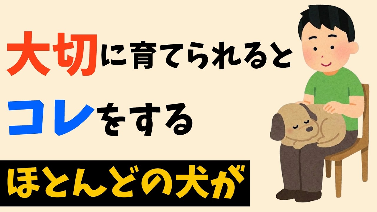 愛情をたっぷり受けて育った犬の7つの特徴