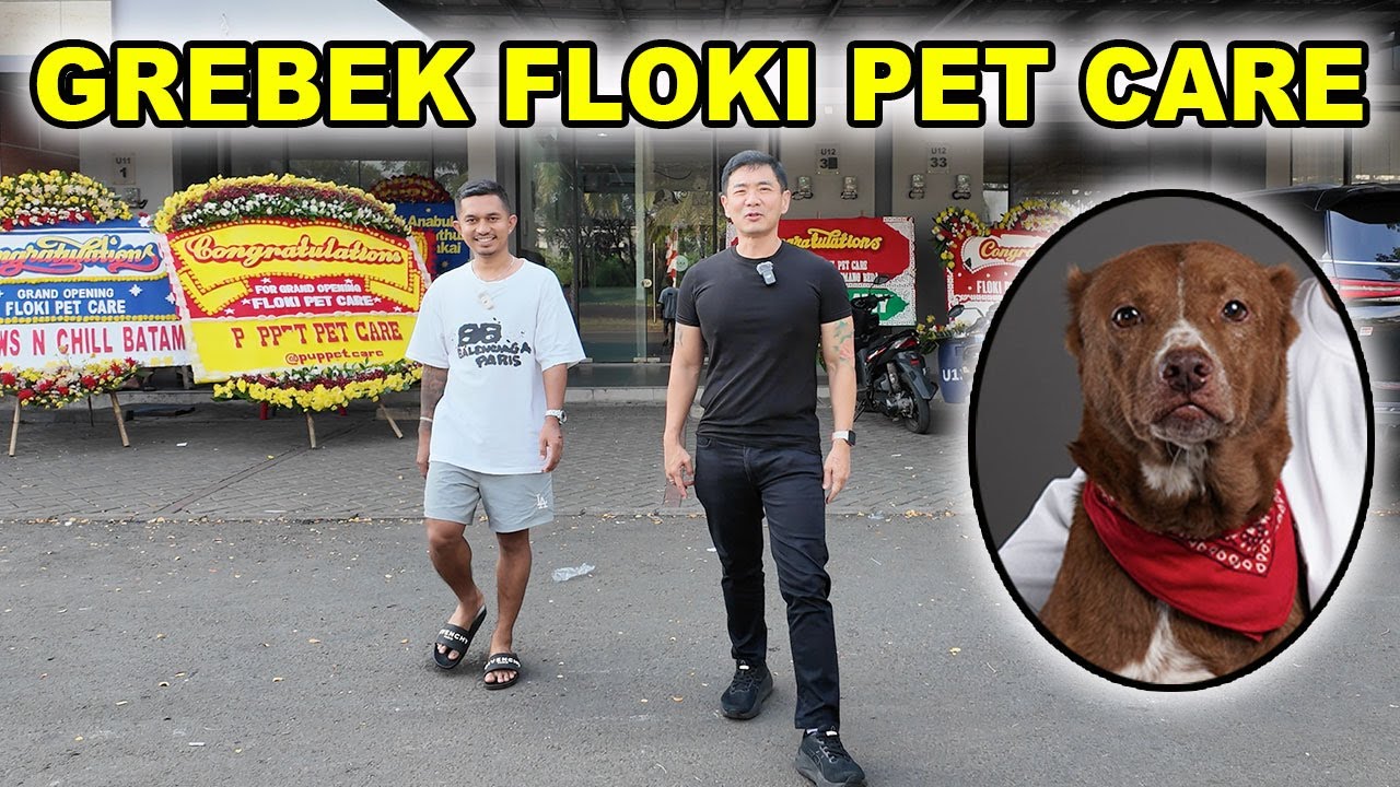 Grebek Floki Pet Care - Bisnis Baru Shine & Floki And The Clan