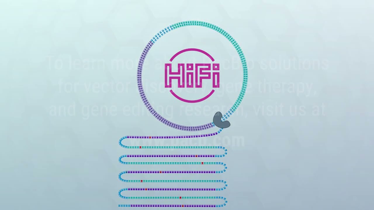 Highly accurate AAV sequencing with PacBio&rsquo;s end-to-end workflow