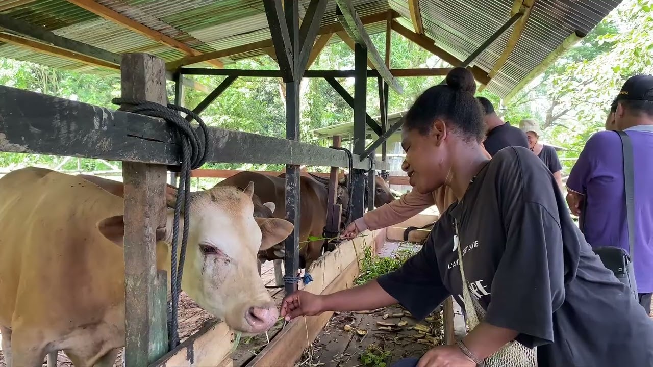 Yonif 762/VYS sebagai ruang inovasi yang terbuka bagi generasi muda untuk berkontribusi.