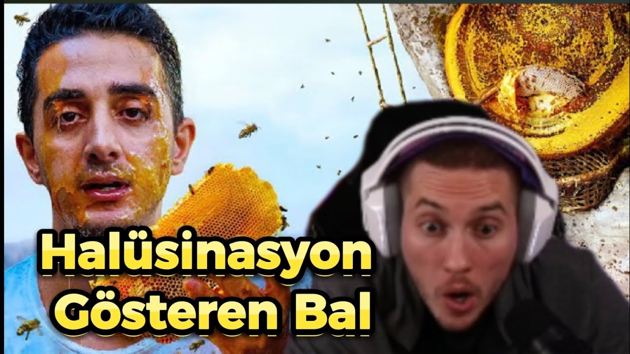 Rraennee! Nepal'in Hal&uuml;sinasyon G&ouml;steren Deli Bal ( Delirmek İ&ccedil;in Tırmanıyorlar ) İzliyor RUHİ &Ccedil;ENET