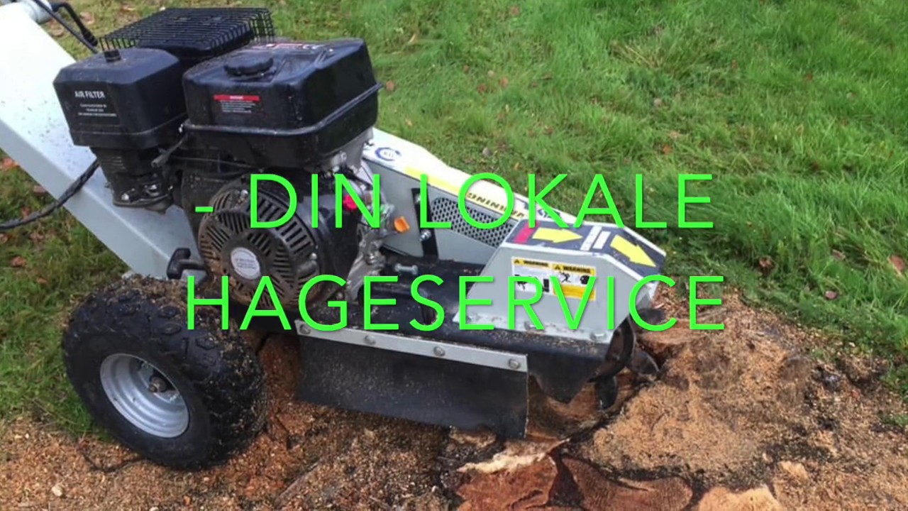 TORV Hageservice - Stubbefresing
