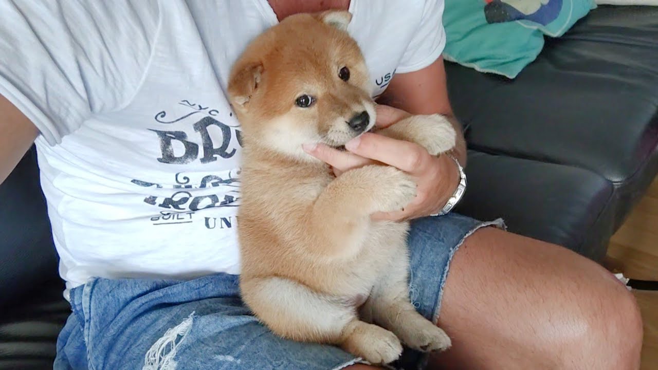 Do you think I'm cute enough?