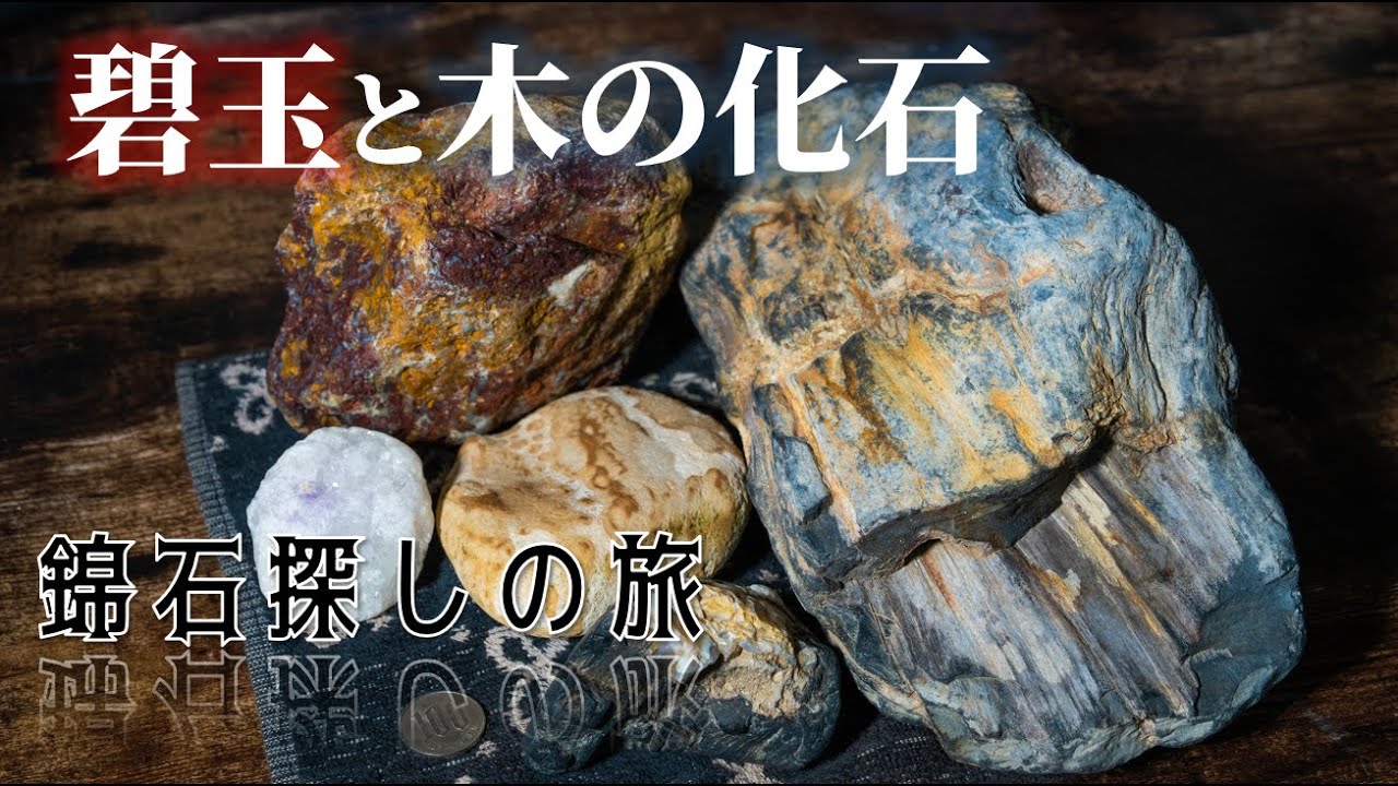 【錦石探しの旅 ー前編】碧玉と珪化木が腐るほど落ちてました