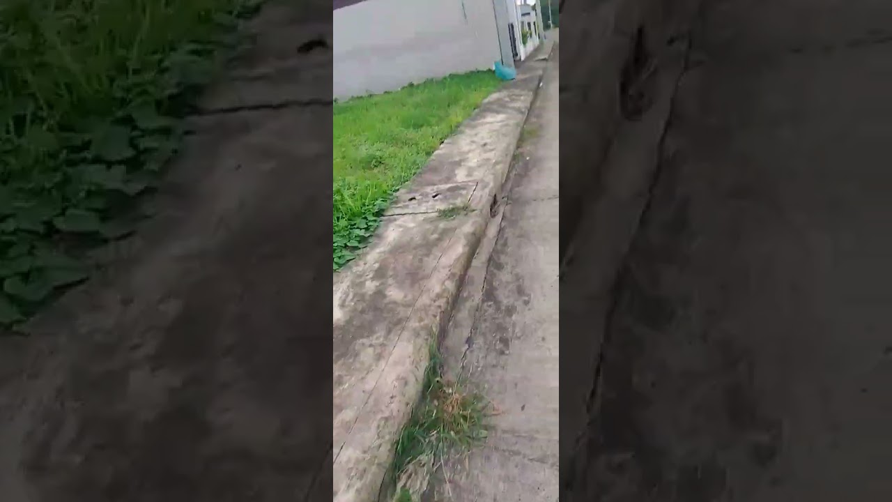 VID 20260116 160000 217 1