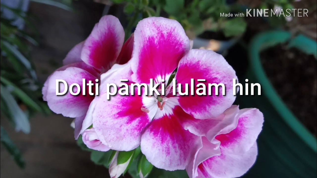 Dolti pāmki lulām hin...(lyrics) Anāl gospel song