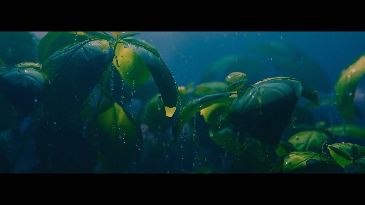 Dimitrios Sakkas &ndash; Tomakti Studio | The Little Things That Move the World