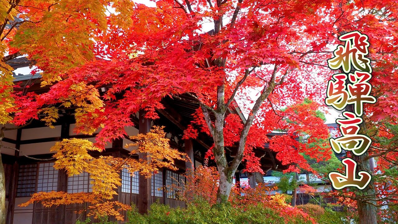 Hida-Takayama Autumn Foliage and Great turnout 2021. #4K #飛騨高山