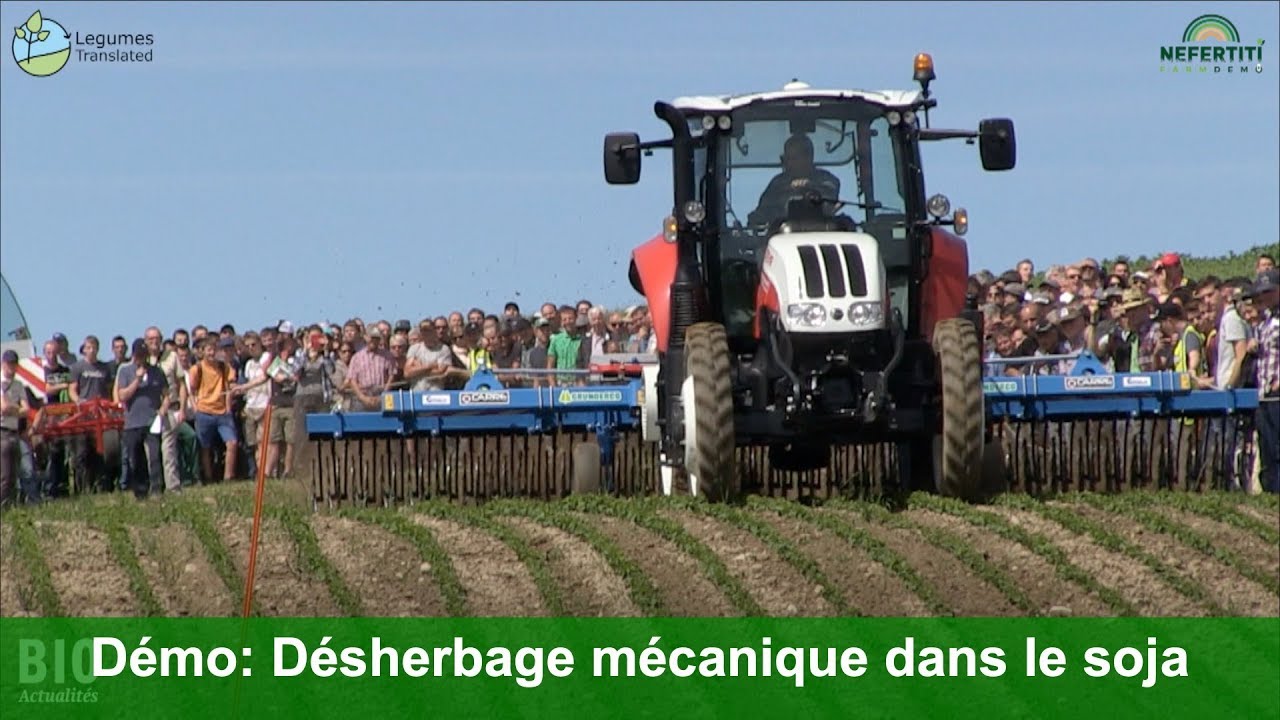 Démonstration de machines : Désherbage mécanique dans le soja