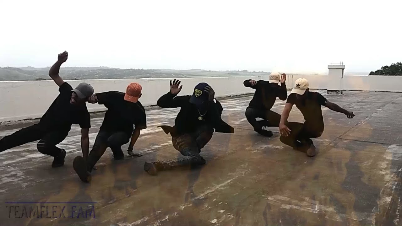 Vosho Game 🔥🔥Team Flex Fam New Bhenga Dance 2017 !Must Wacth!!!