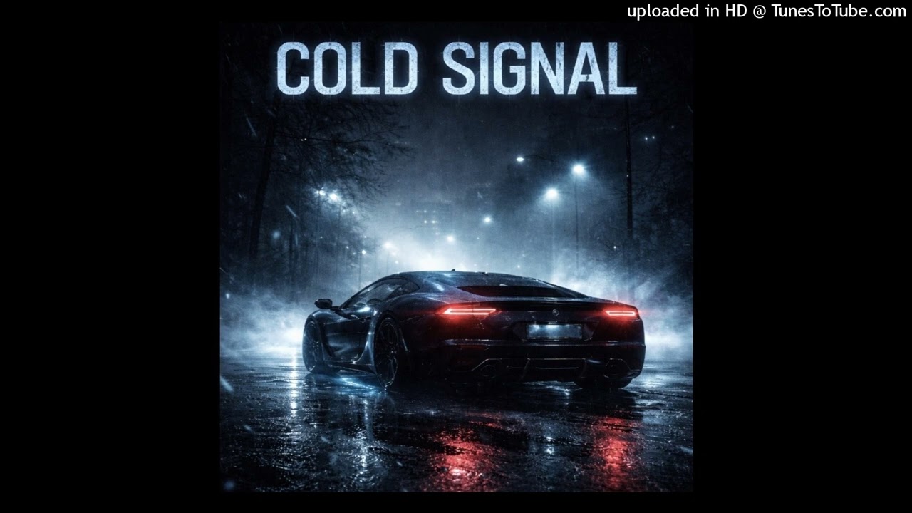Cold Signal (Night Drive)