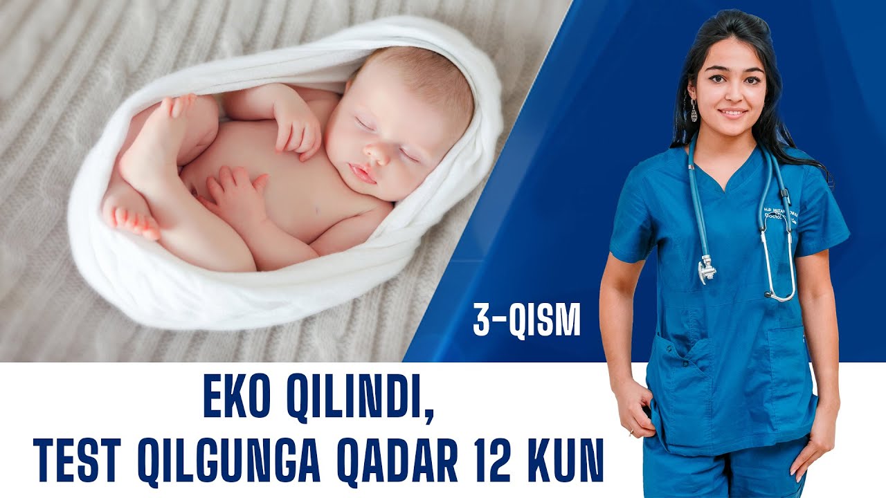 #192 EKO QILINDI, TEST QILGUNGA QADAR 12 KUN