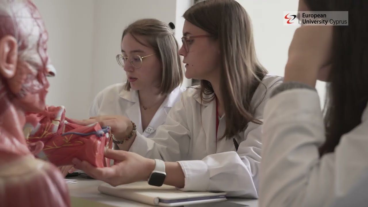 School of Medicine - Frankfurt Campus