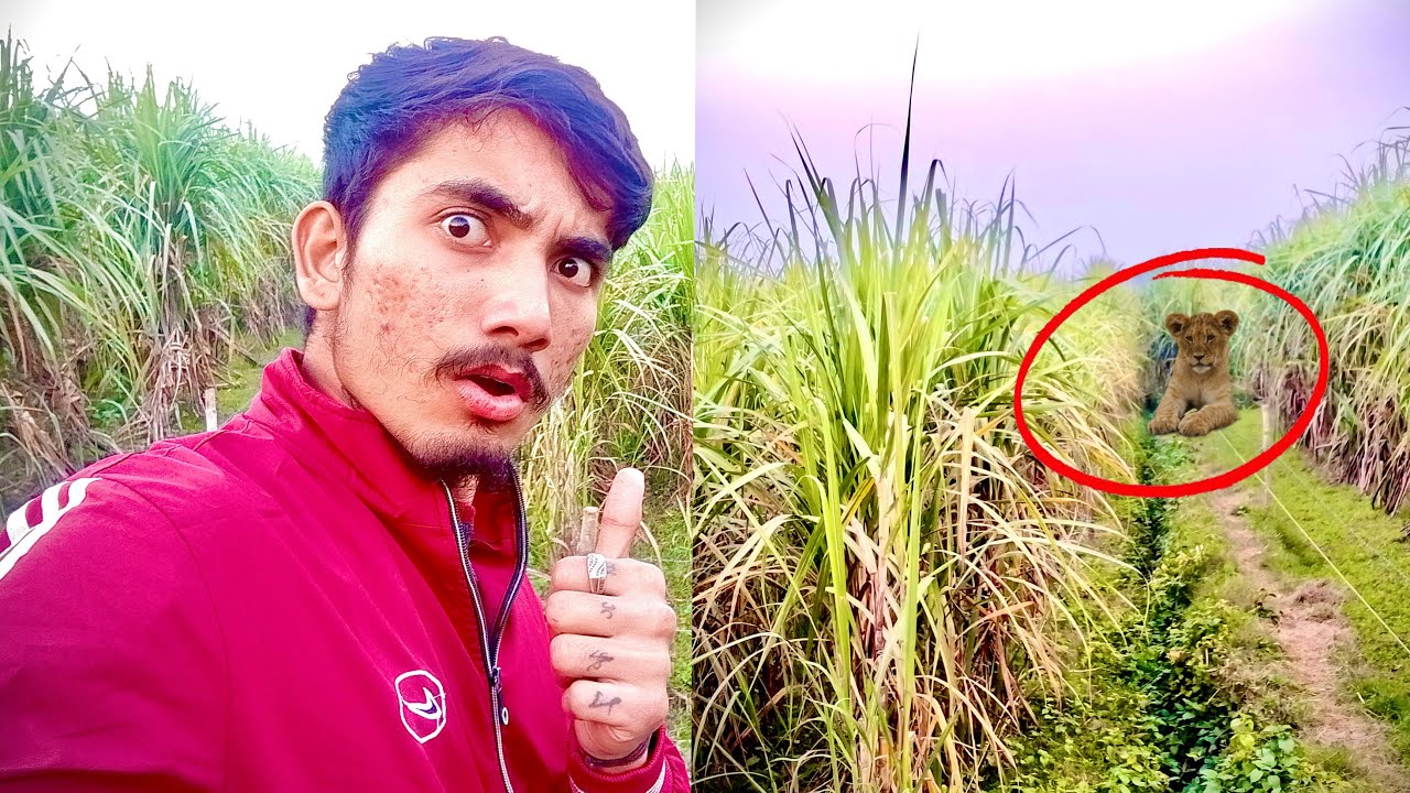 Gaon mein mila itna khatarnak jaanwar | Vishwas nahi hoga