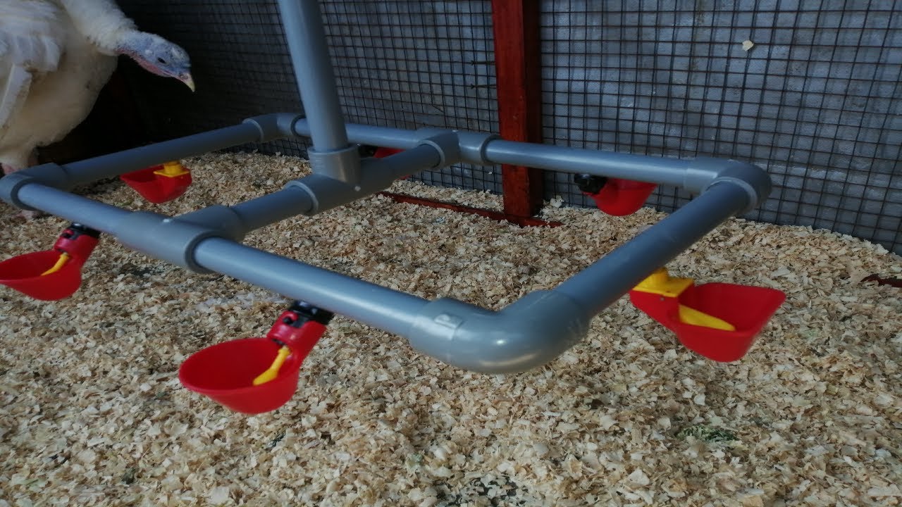 BEBEDERO AUTOMATICO PARA AVES CACERO PARTE 1/2 Sorteo de 8 bebederos al llegar a 100 mil suscriptor.