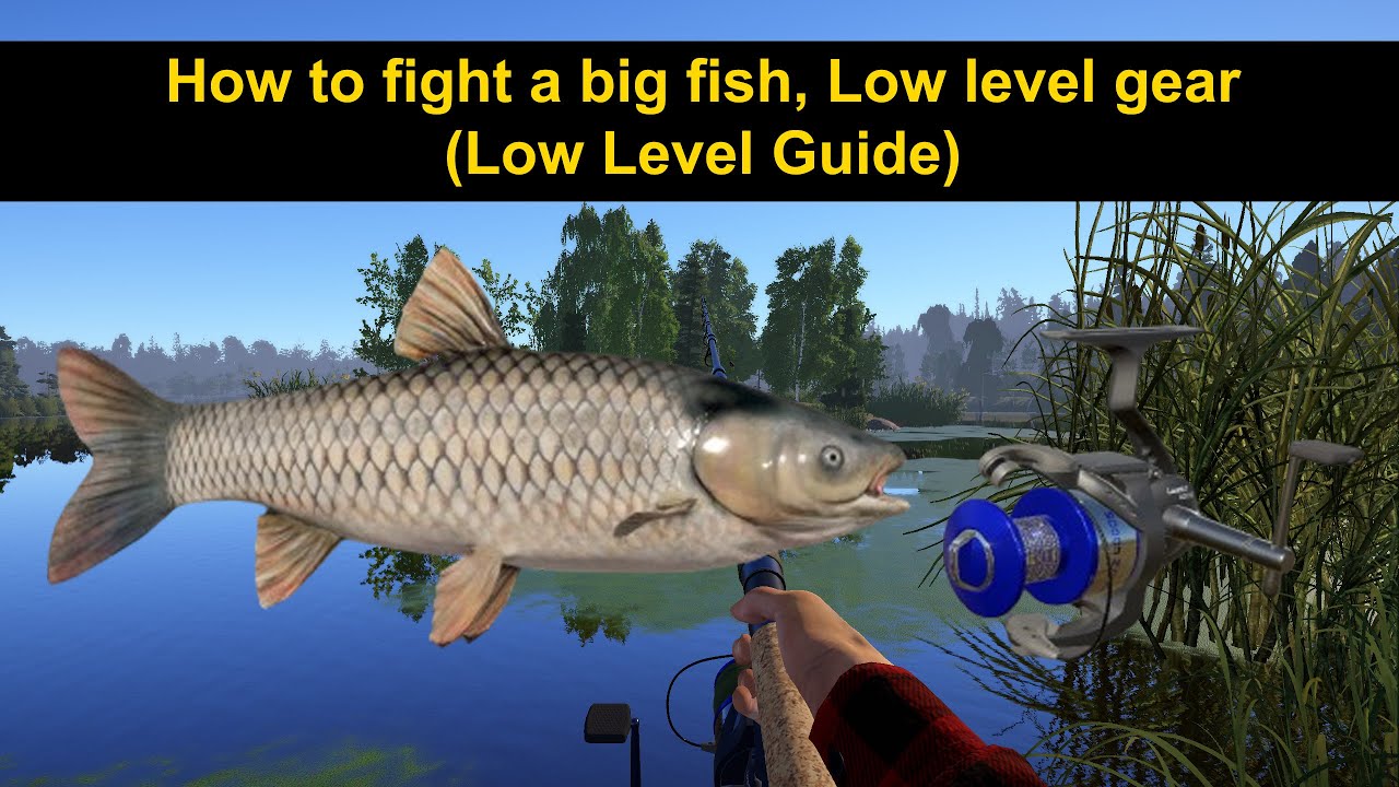 Russian Fishing 4, How to fight big fish with low level gear (Low Level Guide)