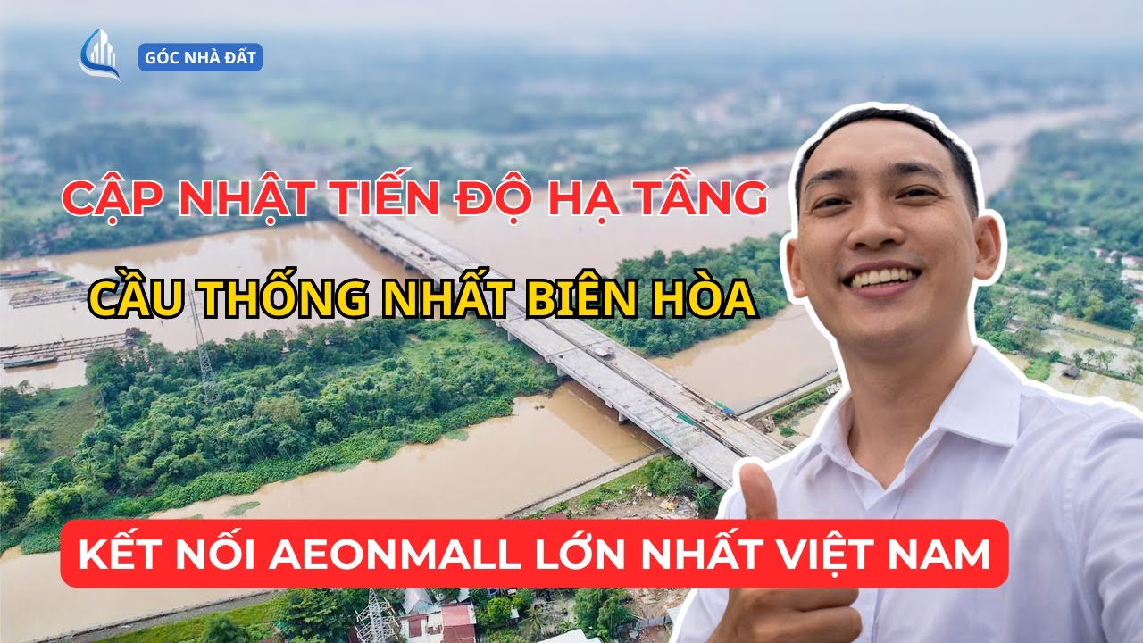 Cập Nhật Tiến Độ Cầu Thống Nhất Biên Hòa 2026 Kết Nối Aeon Mall