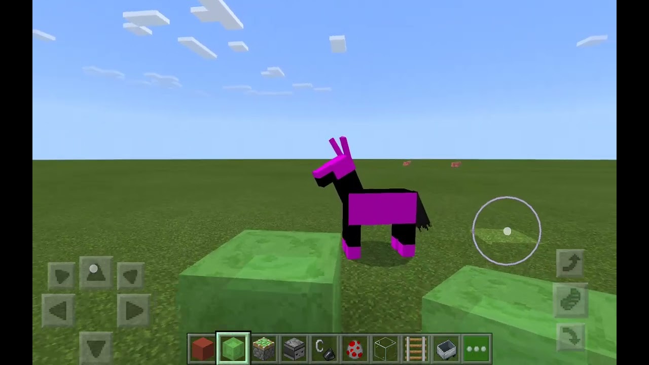 Minecraftta en tuhaf şeylerr