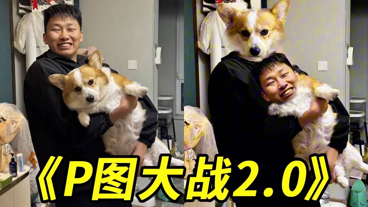 P图大战2.0！5202年看到什么都不稀奇，柯基都成精了！两眼一黑又一黑！#整蛊 #搞笑 #峻宁峻宁