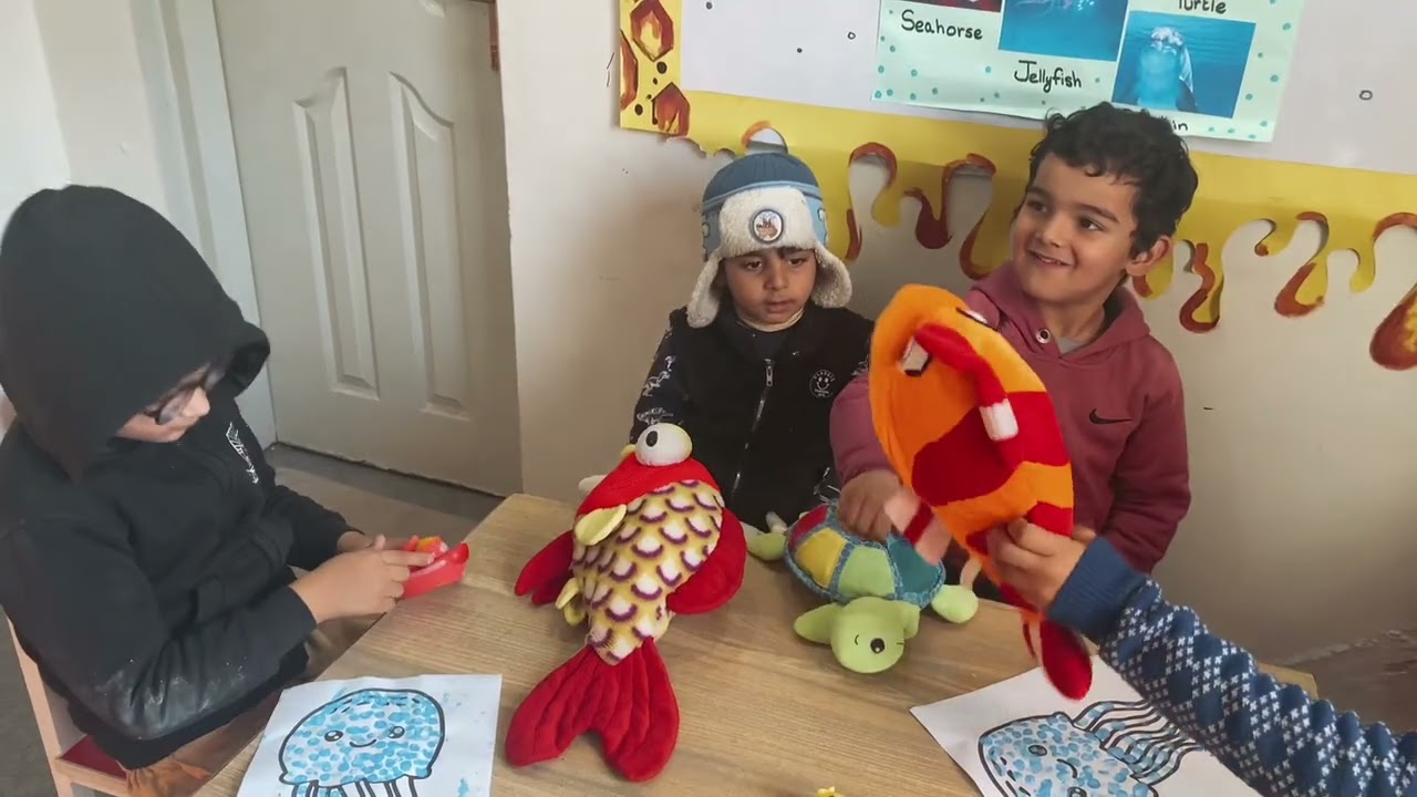 Splash into marine fun | Marine Animal Acitivity Day.