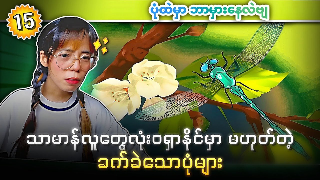 မျက်စိအားကောင်းလှပါတယ်ဆိုတဲ့ ဂေါင်းကြီးတို့တွက် 🧐🧐🧐