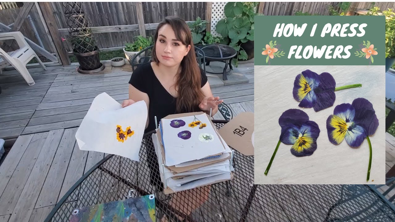 How I Press Flowers