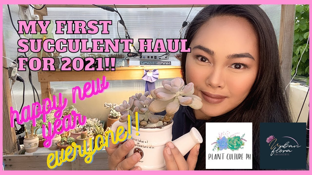 First Succulent Haul for 2021!! Plant Culture Ph and Urban Flora