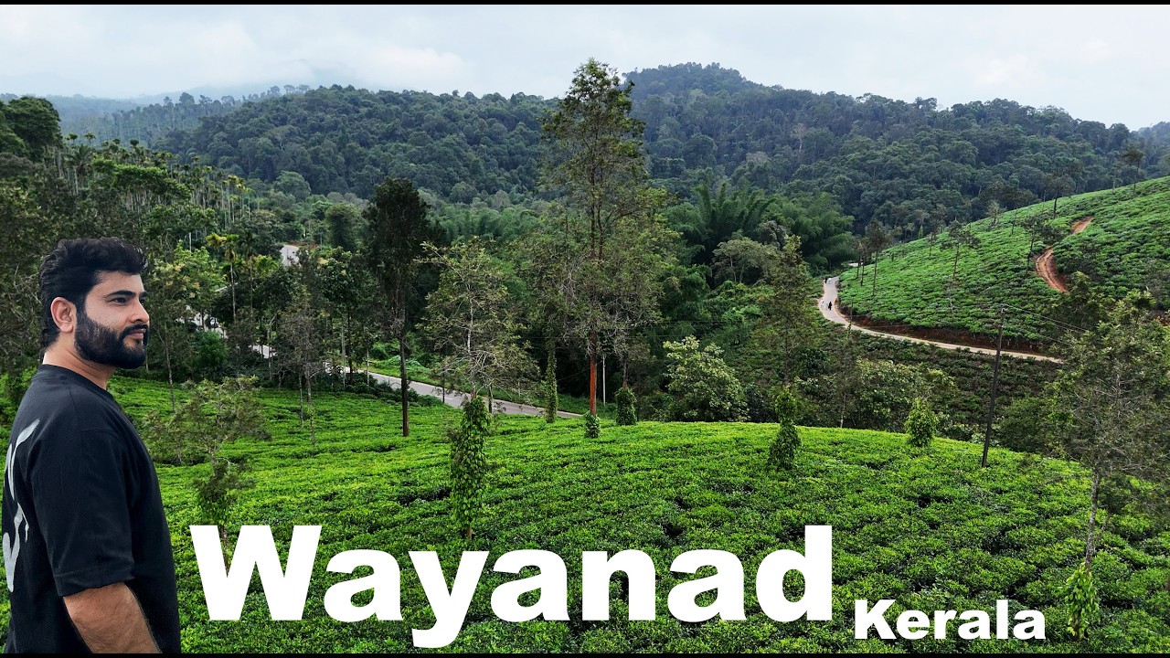 Wayanad | Kerala's Beautiful Hill Station | Exploring During The Monsoon
