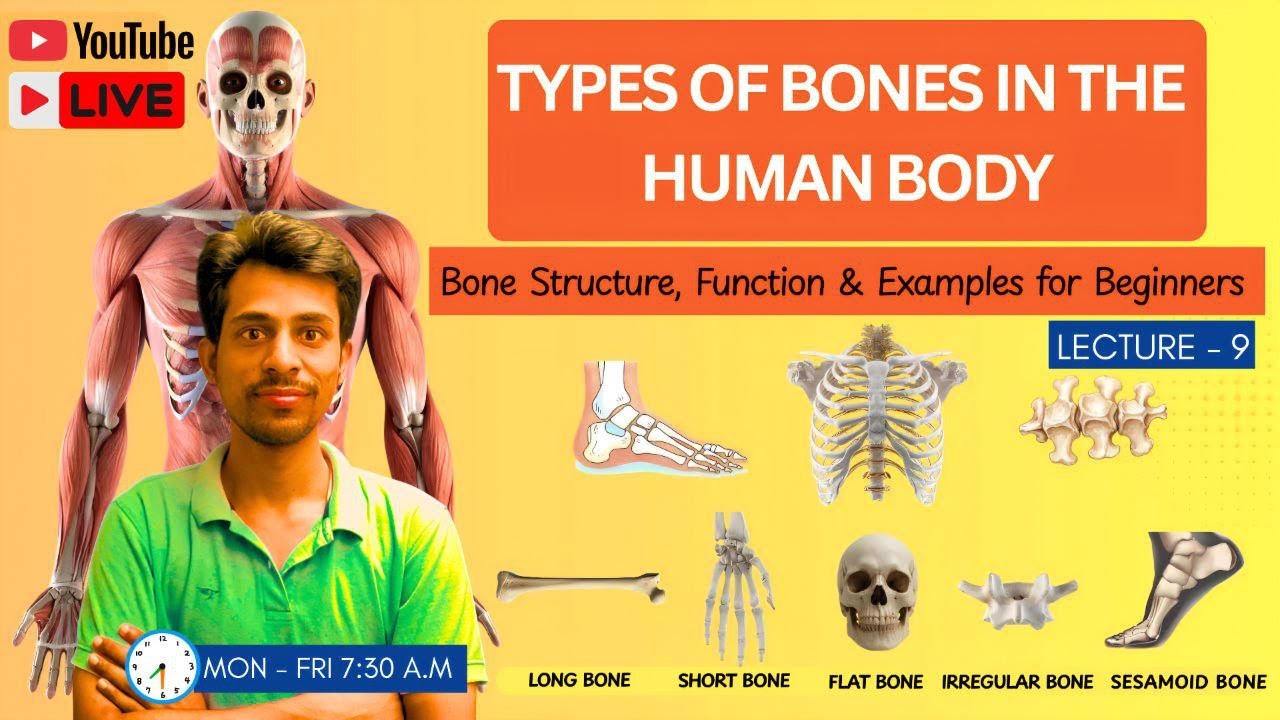 Bone & Its Types & Functions in Hindi | Dr Krishna Sir | Medical Academy Wallah   Live Class LEC - 9