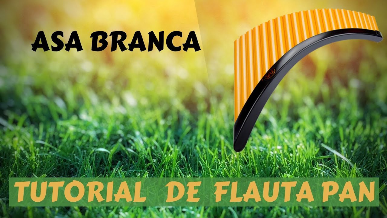 ASA BRANCA TUTORIAL ANIMADO FLAUTA PAN G