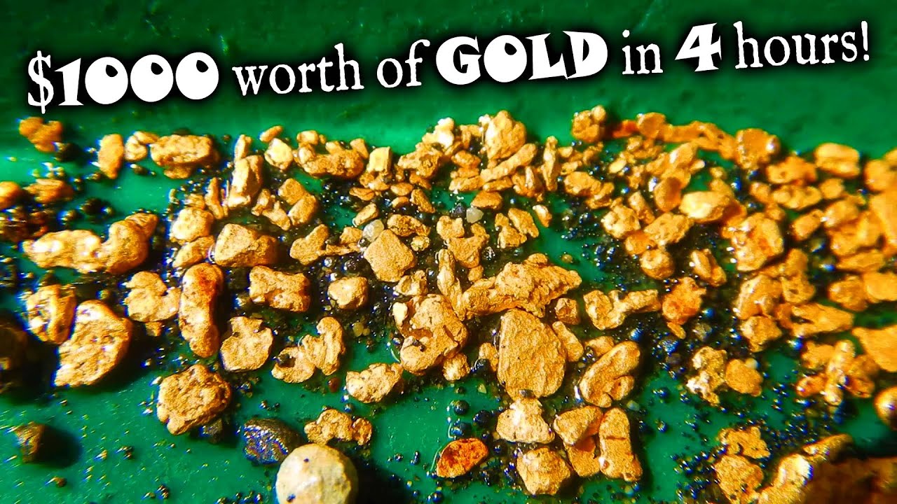 We found over $1000 worth of Gold! * (ft. @ANDYTHRAXX MINING )