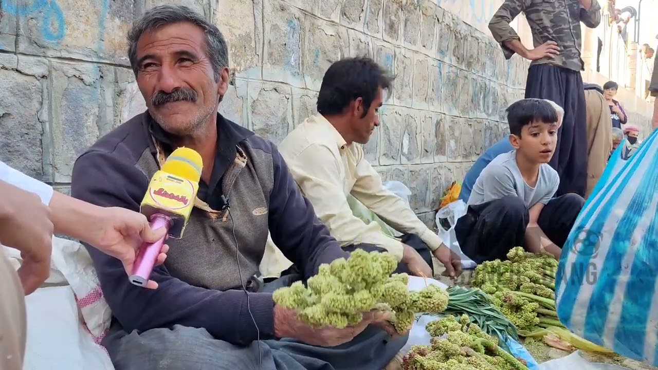 گژ و گیای بەهاری دەبێتە بژێوی بەشێک لە خەڵکی شاری بانە و میۆانی ماڵەکان