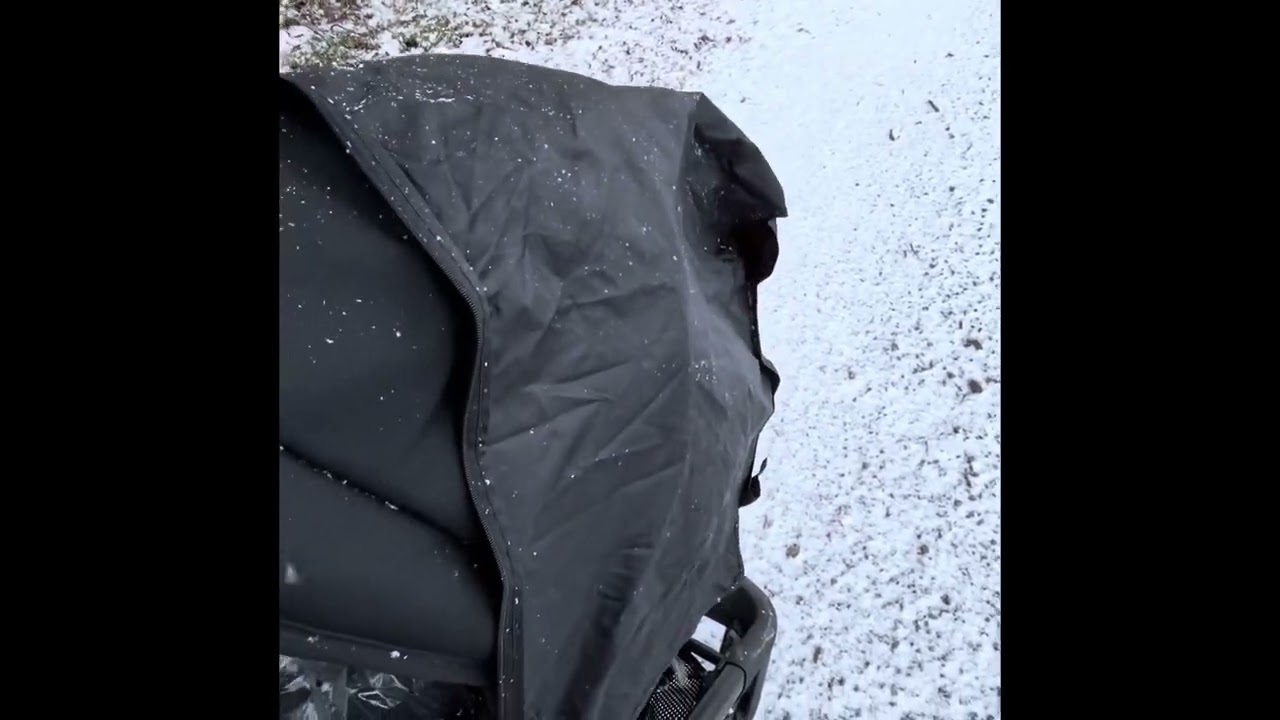 Kleiner  Schneegestöber Spaziergang mit Reborn / Silikon Baby und Wolfsspitz Fiona❤️