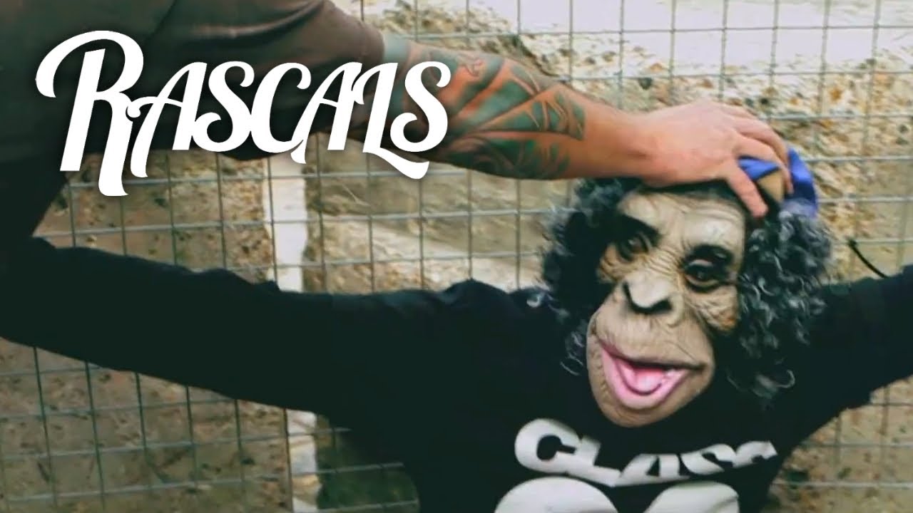 RASCALS - Ape Shit (Explicit)