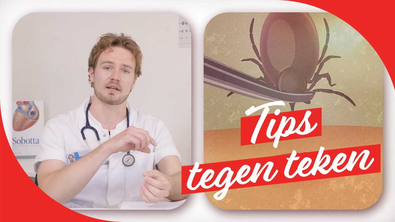 Hoe je teken vermijdt en verwijdert