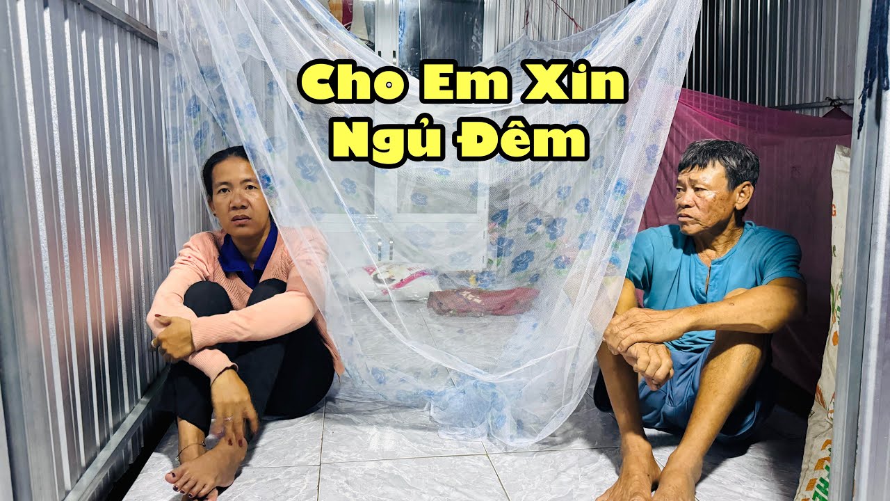 Tới công chuyện ￼bất ngờ trời mưa quy không về được chú giá giăng mùng cho quy ngủ nhờ qua đêm 