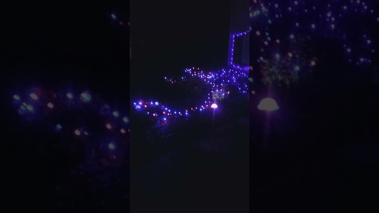 brizlabs rgb smart leds string lights should all different modes on phone app