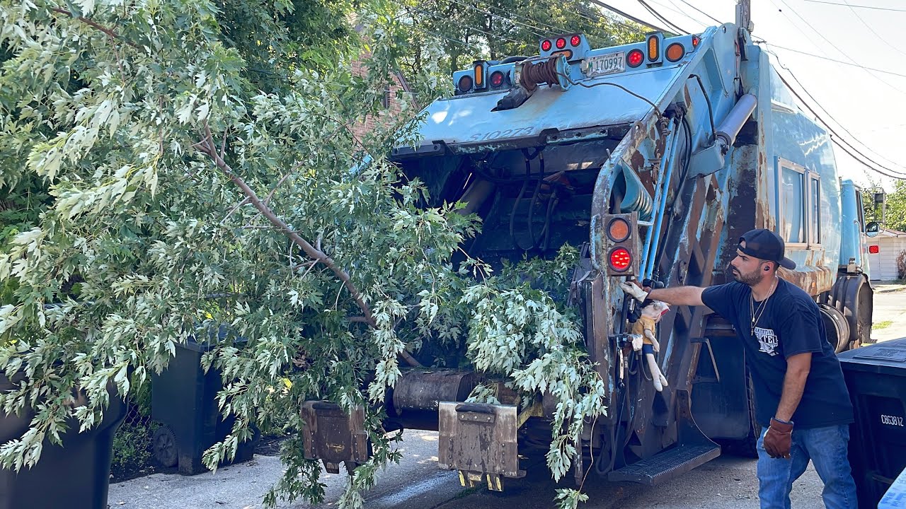 Chicago Loadmaster Rear Loader Garbage Truck Packing a Tree